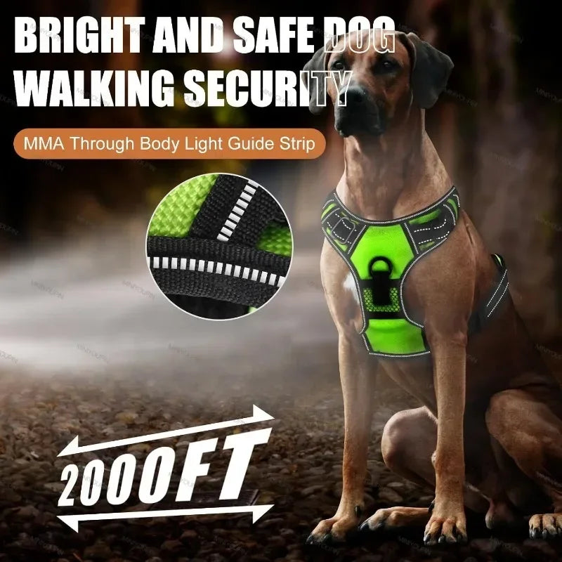🌟 GlowPup Harness – Light the Way for Night Walks