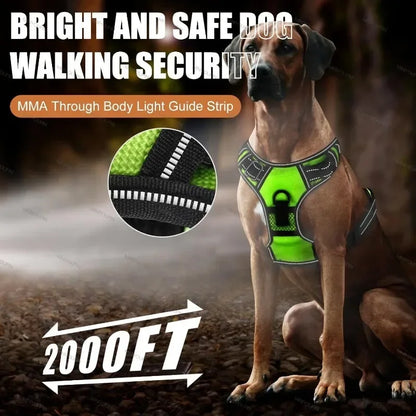 🌟 GlowPup Harness – Light the Way for Night Walks