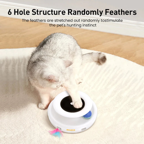 Furry Frenzy Spinner